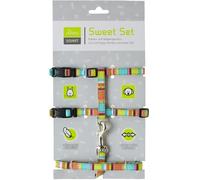 Hunter Pettorina con Guinzaglio Stripes per Gatti