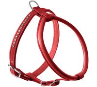 Hunter Pettorina Modern Art R&S Petit Luxus Rosso per Cani 50 cm