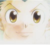 HUNTER x HUNTER select x best x α(kari) JAPAN CD NUOVO