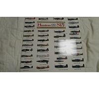 Hunters in the Sky: A Visual Guide to World War II Aircraft