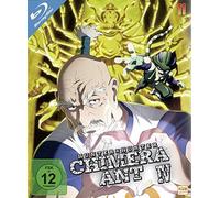 HUNTERxHUNTER - Volume 11 (Episode 113-124) - NUOVO