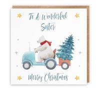 Hunts England Biglietto di Natale per sorelle, con scritta "To A Wonderful Sister" (lingua italiana non garantita)