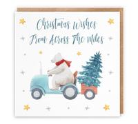 Hunts England Biglietto natalizio con scritta "Christmas Wishes From Across The Miles", collezione Polar Bear