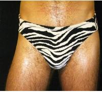 Hunx & His Punx - Gay Singles