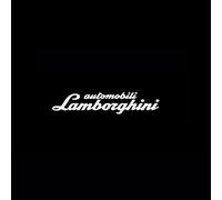 HUQAOL 2 Pezzi, luci proiettate sulle Portiere, Sistema di Illuminazione delle Portiere, Accessori luci di Benvenuto a LED.per Lamborghini Revuelto (LB744) 2023-2025