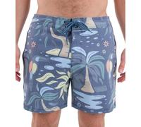 Hurley Boardshort Uomo - Phantom Naturals Sessions 16', 34, Blue Dream