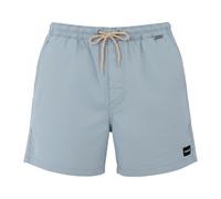 Hurley Icon Ewalk 17´´ Shorts Blu S Uomo