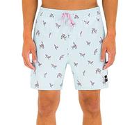 Hurley Pantaloncini da Surf da Uomo Cannonball Volley 17'