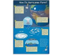Hurricane Anatomy Diagram Poster Meteorology Education Decor