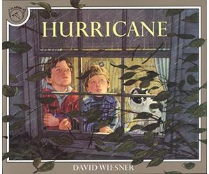 Hurricane by David Wiesner(1992-08-24)