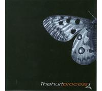 Hurt Process - The Last Goodbye