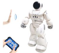 HUSAN Robot telecomandato per bambini, robot intelligente con controller a infrarossi, programmabile, canto, danza, rilevamento di gesti - miglior regalo per ragazzi e ragazze (grigio)