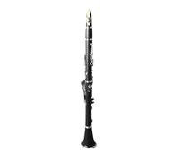 HUSHUI Clarinetto in Sib Professionale con Corpo in Plastica Tecnica e Chiavi Placcate Ni per Musicisti, Kit Completo Incluso