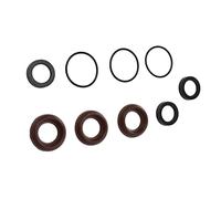 HUSHUI Kit di Guarnizioni per Pompa Idropulitrice da 9 Pezzi in Gomma Resistente Che Impedisce Perdite per i Modelli Annovi Reverberi AR1857
