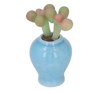 HUSHUI Mini Pianta Grassa per Casa delle Bambole con Vaso Blu per la Decorazione della Casa delle Bambole Pianta in Vaso Finta in Argilla Premium da 1 unità