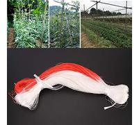 HUSHUI Rete di Sostegno per Piante Rampicanti Attrezzo da Giardino Durevole e Versatile 2 X 100 M Ideale per Fiori di Ortaggi 100% Nuovo