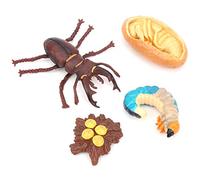 HUSHUI Set di Giocattoli Educativi per Bambini con Modello di Ciclo di Crescita degli Animali, Realizzato in Resistente Plastica PVC da 4 a 5 unità (Il ciclo di crescita dei cervi volanti)