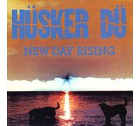 Husker Du - New Day Rising