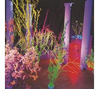 husker du warehouse: songs and s... (CD) Album