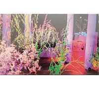 Husker Du - Warehouse:Songs and Stories [CASSETTE]