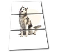 Husky Arctic Dog Modern Circle Animals TREBLE TELA parete arte foto stampa