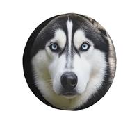 Husky, copertura per ruota di scorta per cani, impermeabile, antipolvere, portatile, universale, adatta per camper, SUV, camion, rimorchi da viaggio