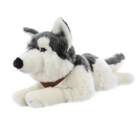 Husky di peluche sdraiato con cinghie 60 cm
