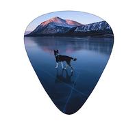 Husky Dog On A Frozen Lake Plettro per Chitarra 12 Plettri Moda Personalizzato Bass Pick Durevole Plettri per Chitarra Elettrica Accessori per Strumenti