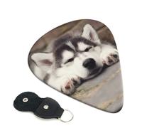 Husky Dog Plettri per chitarra con stampa di 6 plettri per chitarra elettrica acustica per basso chitarre acustiche elettriche ukulele sottile medio spesso set 0,96 mm
