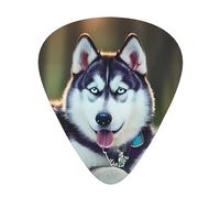 Husky Dog Print Organizer Storage Box Spessore diverso Plettri per chitarra acustica