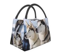 Husky Dogs Borsa per il pranzo per donne e uomini adulti Scatola termica per il pranzo riutilizzabile a prova di perdite Borsa per il pranzo di grande capacità Contenitore per alimenti portatile per