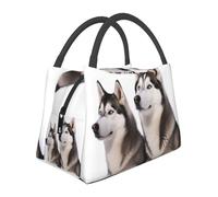 Husky Dogs Borsa per il pranzo per donne e uomini riutilizzabile Borsa per il pranzo isolata Scatola per il pranzo a tenuta stagna Borsa per il pranzo di grande capacità Contenitore per il pranzo per