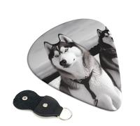 Husky Dogs Snow - Confezione da 6 plettri per chitarra con supporto, plettri per chitarra personalizzati, antiscivolo, portatili, ukulele, basso, 0,96 mm, per amanti della chitarra acustica, regali