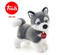 HUSKY MARKUS CANE IN PELUCHE TRUDI 22271 24 CM