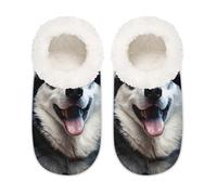 Husky - Pantofole da casa per cani, unisex, in memory foam, comode, antiscivolo, Multi, 6/6.5 UK Wide