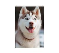 Husky Piquant Dog Welcome Garden Flag 2x3 Ft Double Sided No Fade House Yard Flags Photo Sfondo Banner per Cortile Portico Prato Decorazione Esterna