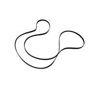 Hutchinson Cinghia per asciugatrice 1971 PH