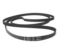 Hutchinson - Cinghia per asciugatrice 1985 PH