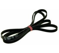 Hutchinson Poly.V 1956 PH cinghia trasmissione asciugatrice per Beko Smeg Bosch