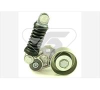 HUTCHINSON T1009 Rullo tenditore cinghia Poly-V