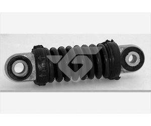 HUTCHINSON T5021 Rullo tenditore, Cinghia Poly-V per MAN