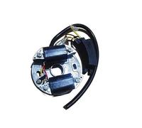 HUTJWYN Bobina del modulo di accensione con condensatore for YD78 78 7800 YD81 78CC Motosega a 2 Tempi accenditore condensatore statore