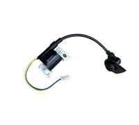 HUTJWYN Modulo Bobina di accensione for generatore Inverter 2000T 2000 ESE 2000T