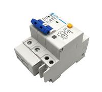 HUUOQIWY DZ47LE-63 Interruttore Automatico Domestico Interruttore miniaturizzato 2P con Protezione Contro Le perdite Cancello Principale trifase(25a)