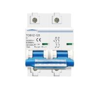 HUUOQIWY Interruttore Automatico 2P 125A 100A 80A DC 600V Adatto for sistemi fotovoltaici Interruttore Principale della Batteria Curva C(125A)