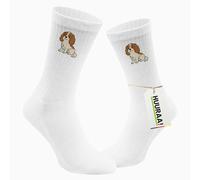 Huuraa Cavalier king charles spaniel calzini