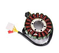 HUVNEXA Bobina statore alternatore Moto NSS250X MF08 Forza 250 X 2004-2007 NSS250EX MF-08 Forza 250EX Bobina di accensione per Motocicletta