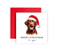 Huxters Biglietto di Natale con cane - Labrador cioccolato - Merry Christmas to Dog Mum and Dog Dad - Biglietto di Natale dal cane agli amici famiglia per il primo Natale (Labrador cioccolato)