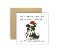 Huxters Biglietto di Natale divertente di Dog Border Collie per mamma, papà, cagnolino, genitori, cani - We Both Know I Didn't Buy You This Card But Can We Go Walkies Now? (Border Collie)