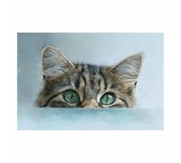 HUYEEI Canvas Quadri, Gatto che guarda fuori dalla finestra, Immagini di arte nordica, Animale Decorazioni Parete per camera da letto moderna decorazione domestica(marrone)-20x30cm Non incorniciato